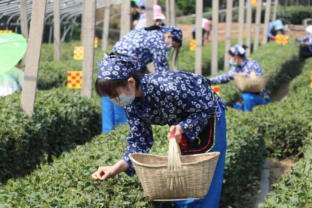 圖片2