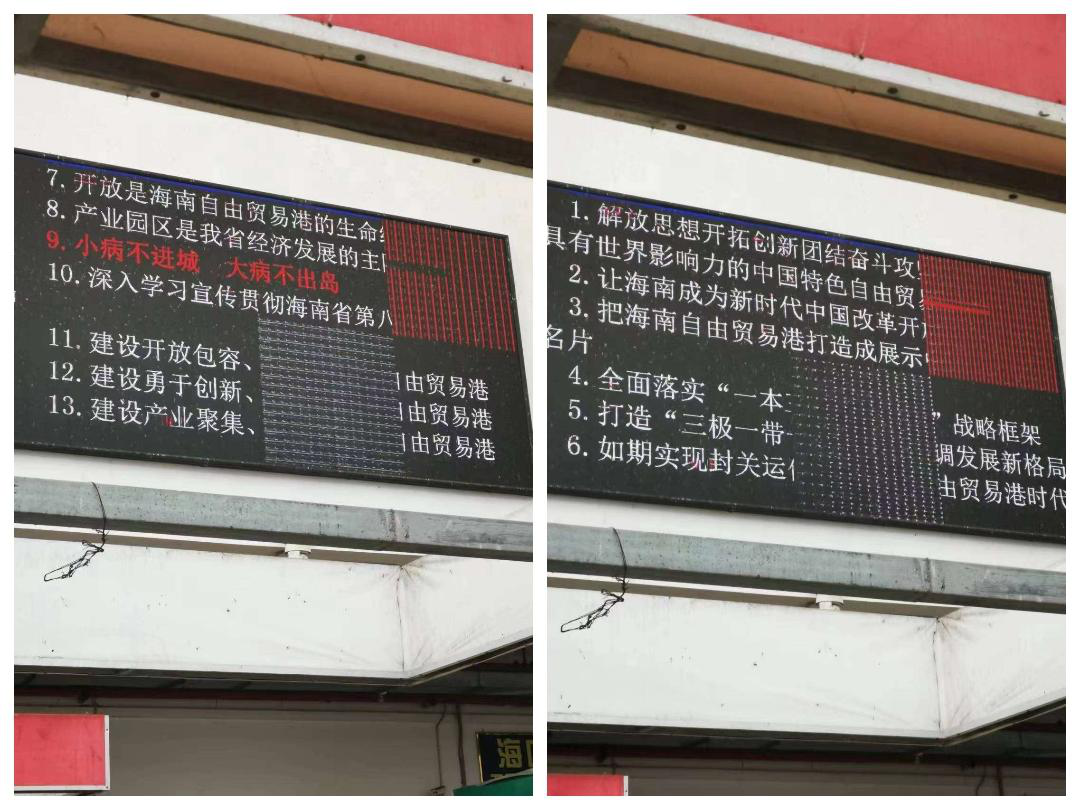 圖片8