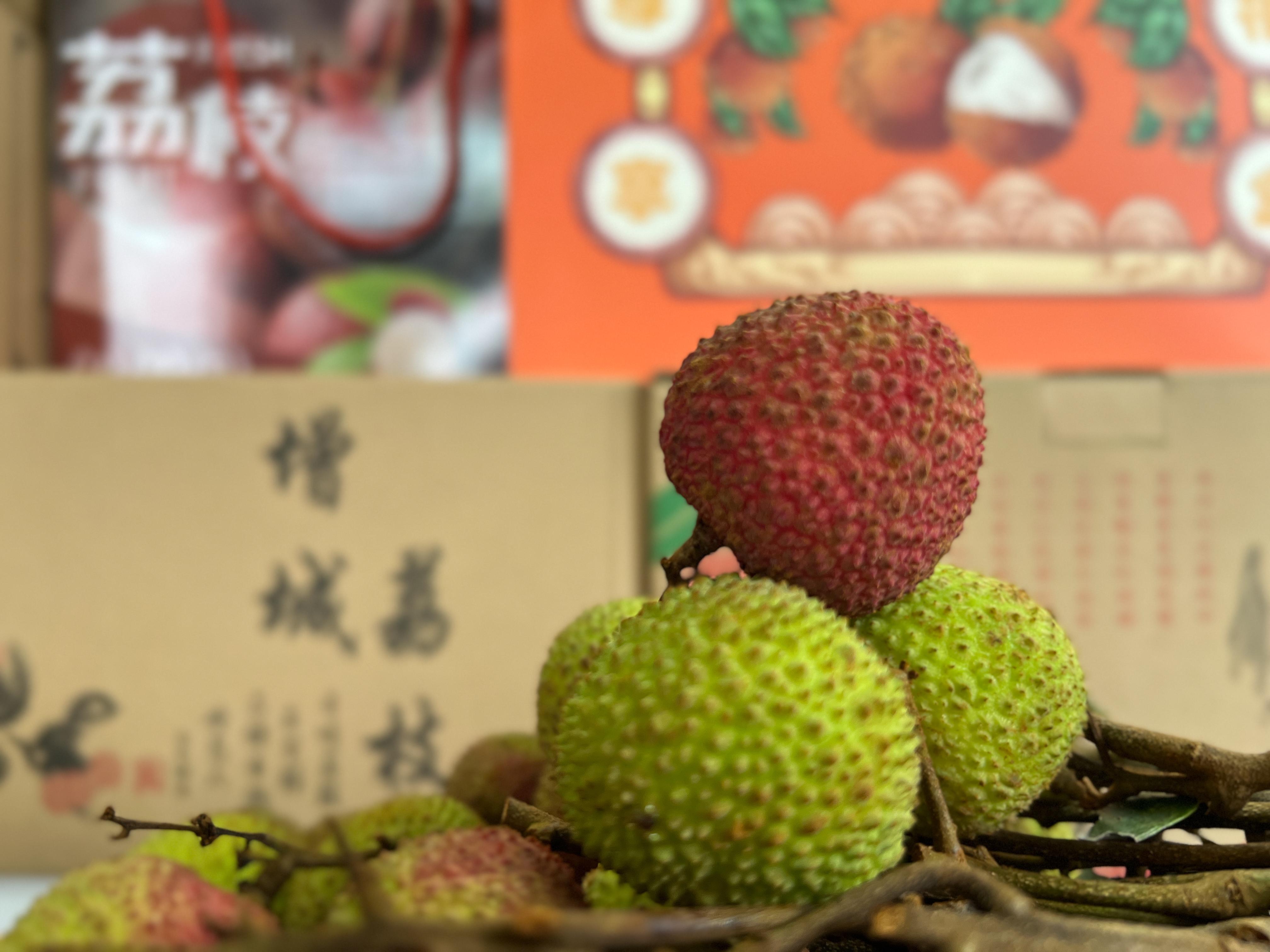 圖1