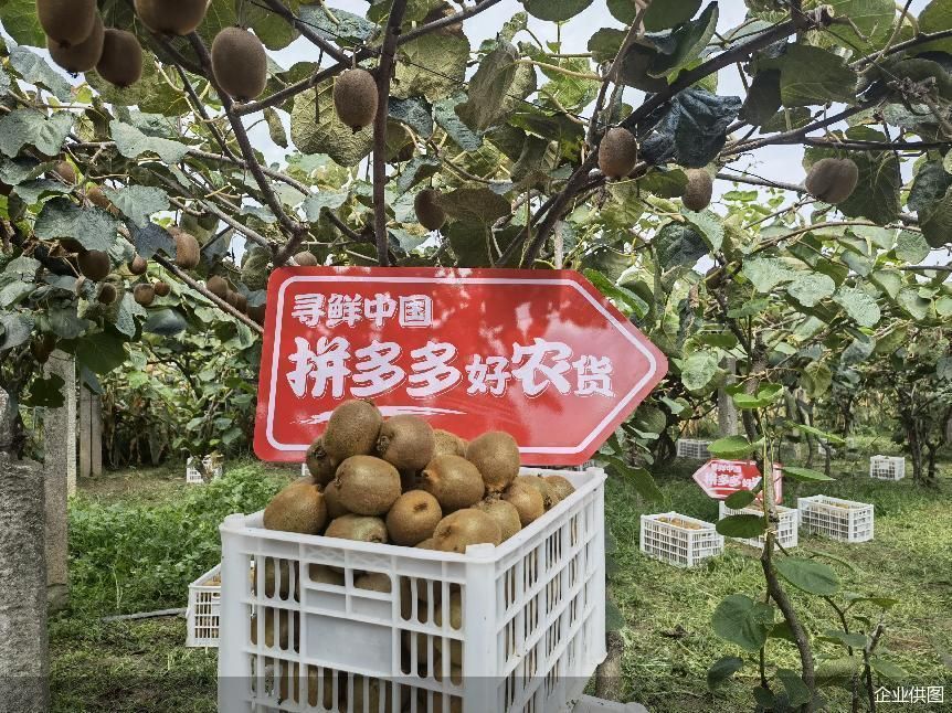企業(yè)供圖