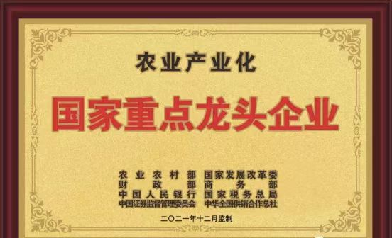 圖片1