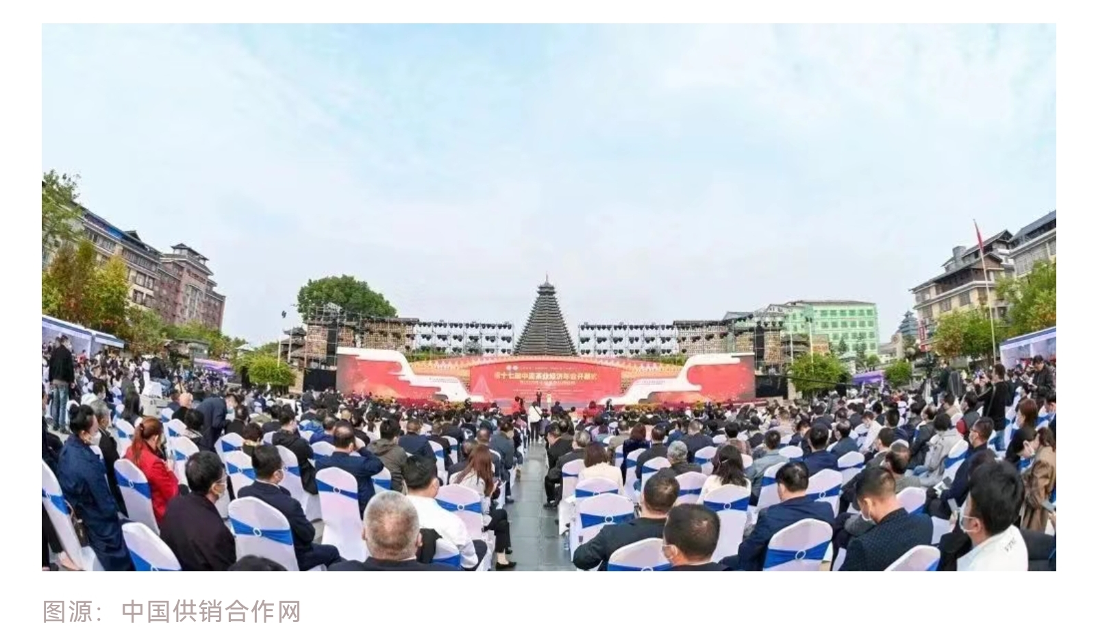 圖片8