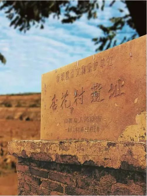 圖片7