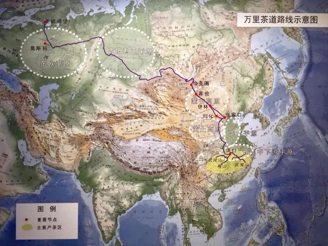 圖片15