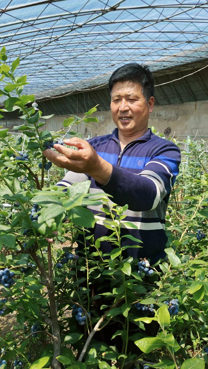 圖片8