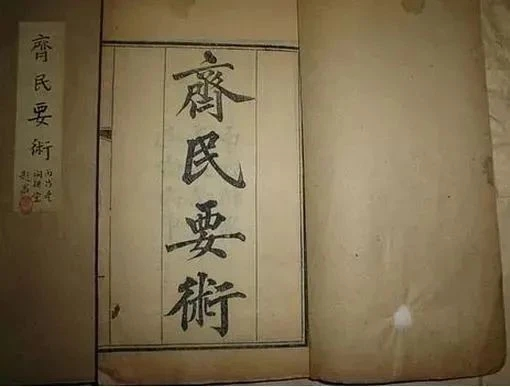 圖片6