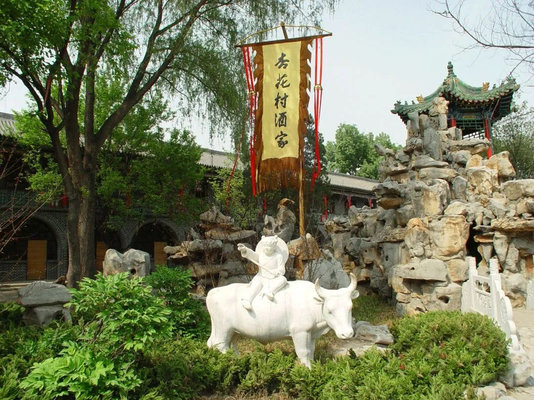 圖片21