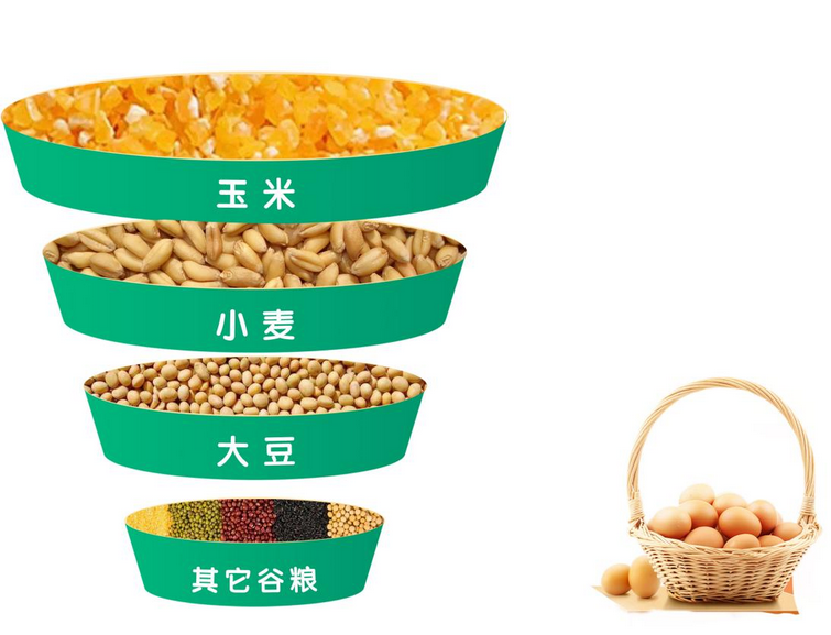 圖片.png
